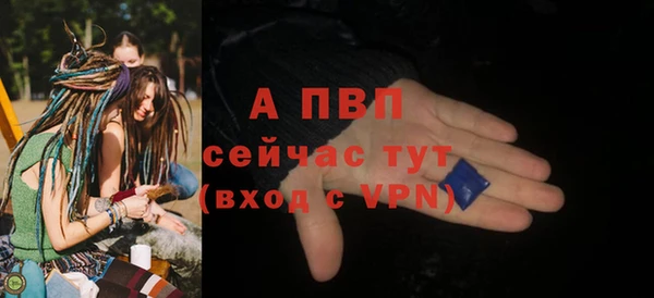 дживик Михайловск