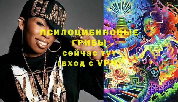 дживик Михайловск