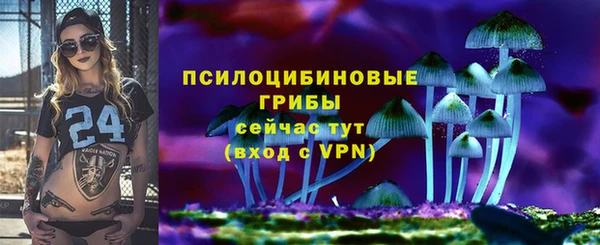 стафф Михайловка